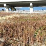 遊休農地と耕作放棄地の違いとは？定義・固定資産税・補助金・耕作放棄問題を解説