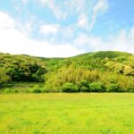 山を切り開く前に知っておきたい山林活用と田舎ビジネスのポイント