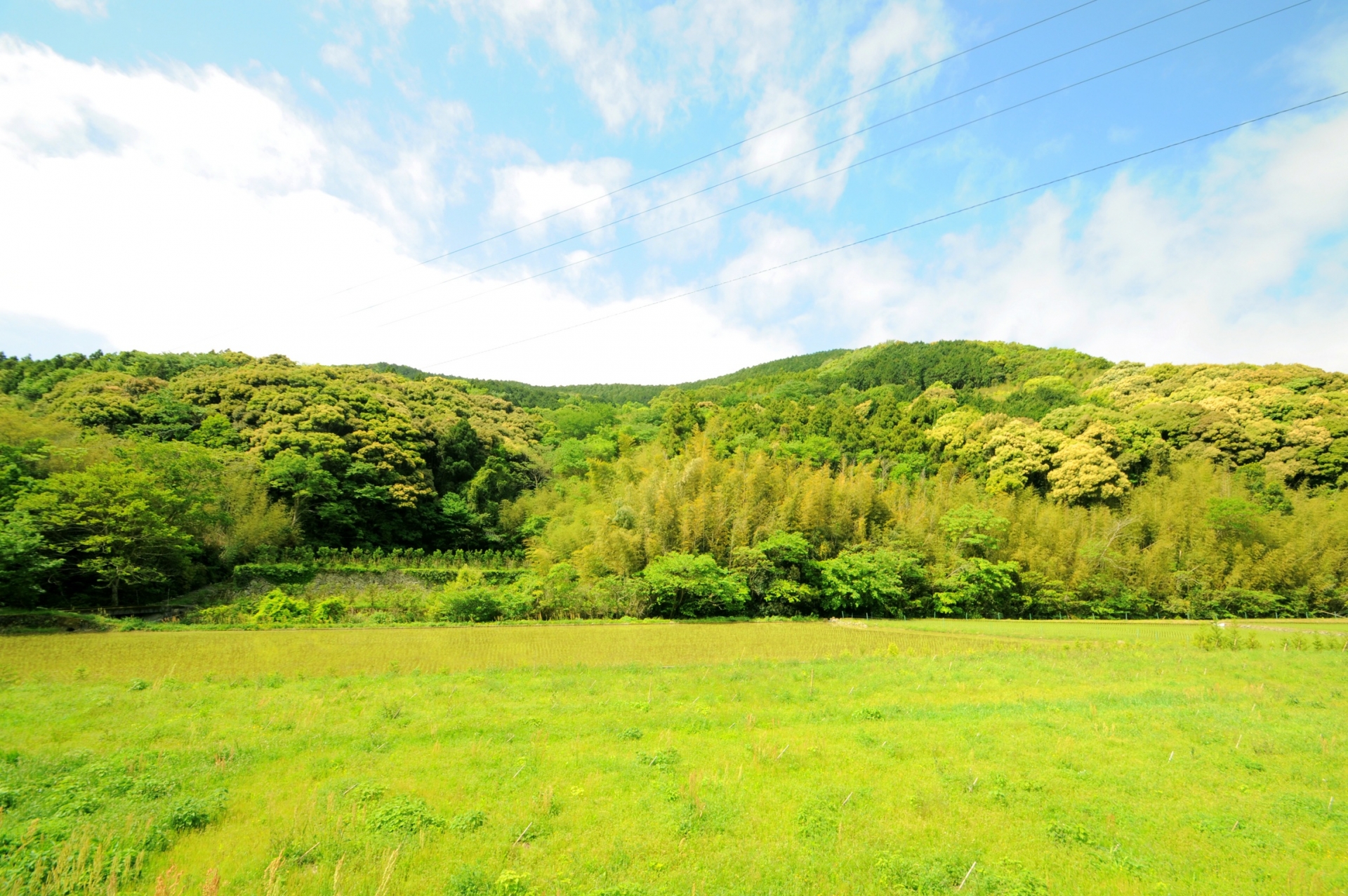 山を切り開く前に知っておきたい山林や田舎の土地活用ポイント